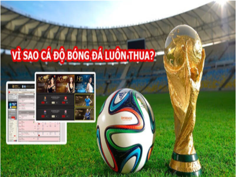 Lý giải tại sao cá độ bóng đá luôn thua? 1 Choi khong biet diem dung 1 - tại sao cá độ bóng đá luôn thua