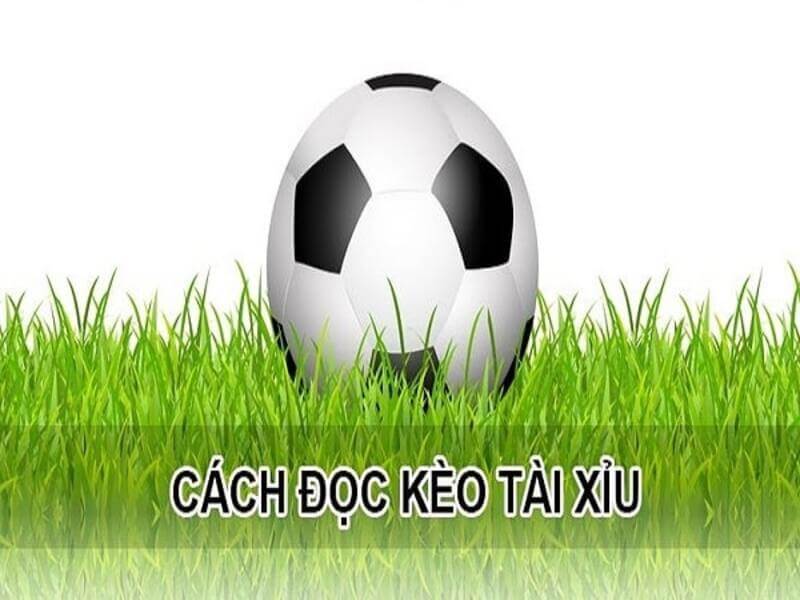 Kèo Châu Á là gì? Hướng dẫn cách đọc kèo chính xác và chi tiết 3 Doc keo tai xiu 3 - kèo châu á là gì