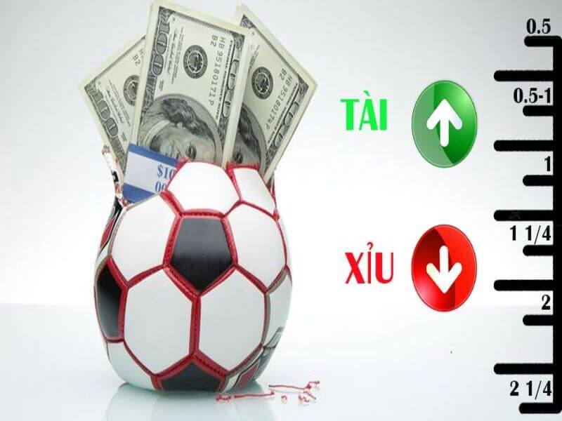 Chơi cá độ bóng đá ăn bao nhiêu tiền? 6 Keo Tai Xiu khi dat cuoc thanh cong tien thuong kha lon 6 - cá độ bóng đá ăn bao nhiêu