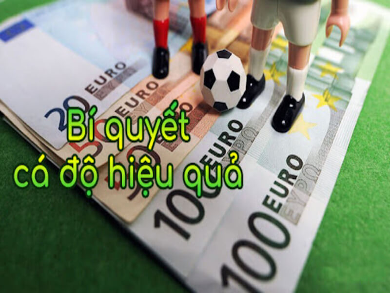 Cách cá cược bóng đá luôn thắng cho anh em học hỏi thêm 8 Meo cuoc bong da de luon thang cho anh em choi ca do 8 - cách cá cược bóng đá luôn thắng