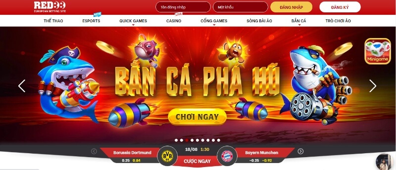 RED88 - Nhận thưởng không giới hạn cùng nhà cái uy tín - Update 12/2023 8 Một số câu hỏi thường gặp tại nhà cái RED88