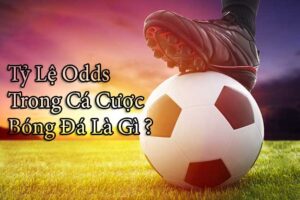 image1 - cách soi odds running