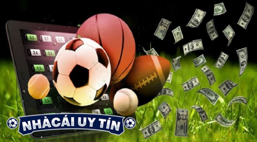 Top Những Nhà Cái Uy Tín Mà Bạn Không Nên Bỏ Lỡ Khi Tham Gia Cá Cược 1 Top Những Nhà Cái Uy Tín